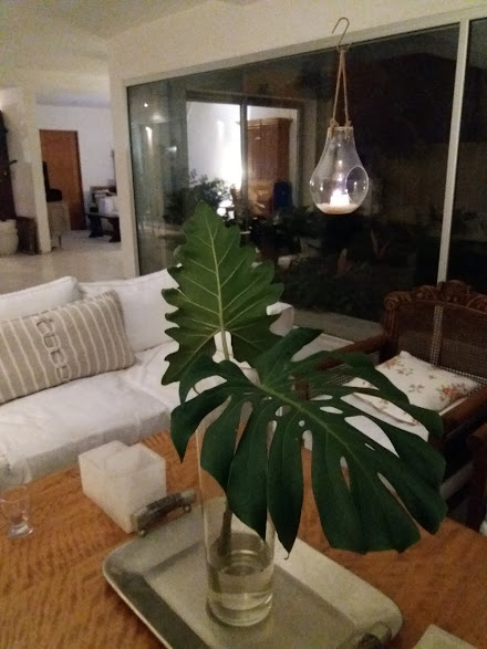 construccion casa adriana (29)